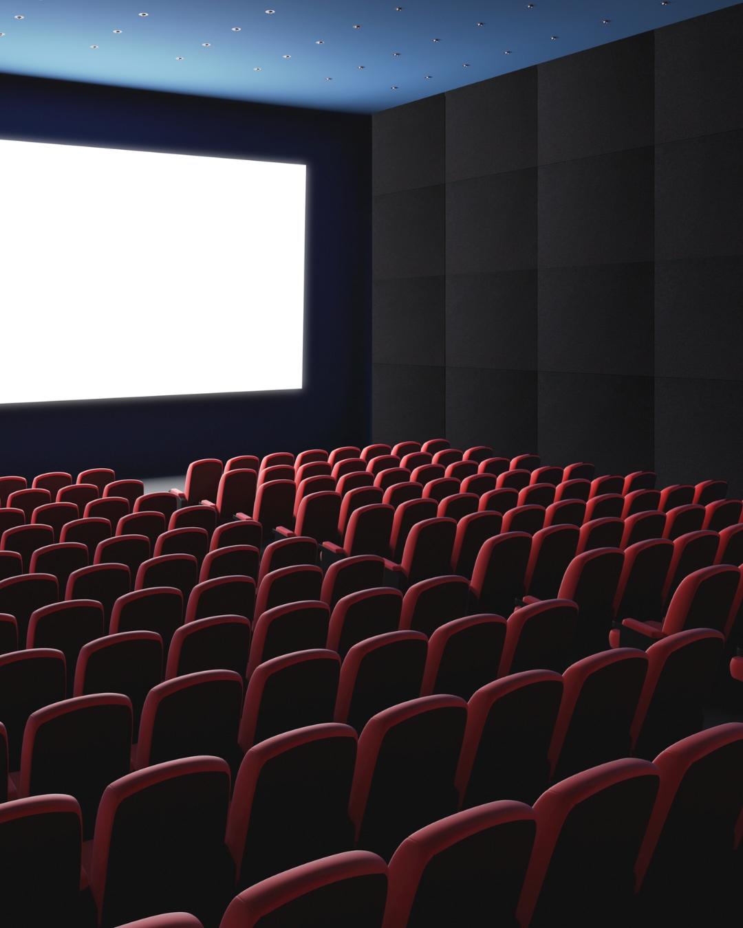 Mappyfiber Flat Pannelli Fonoassorbenti Decorativi Cinema Teatro