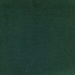 496 Bologna S - 496