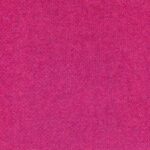 153 Firenze-153
