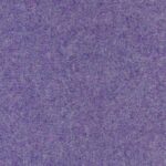 251 Firenze-251