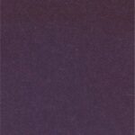 256 Firenze-256