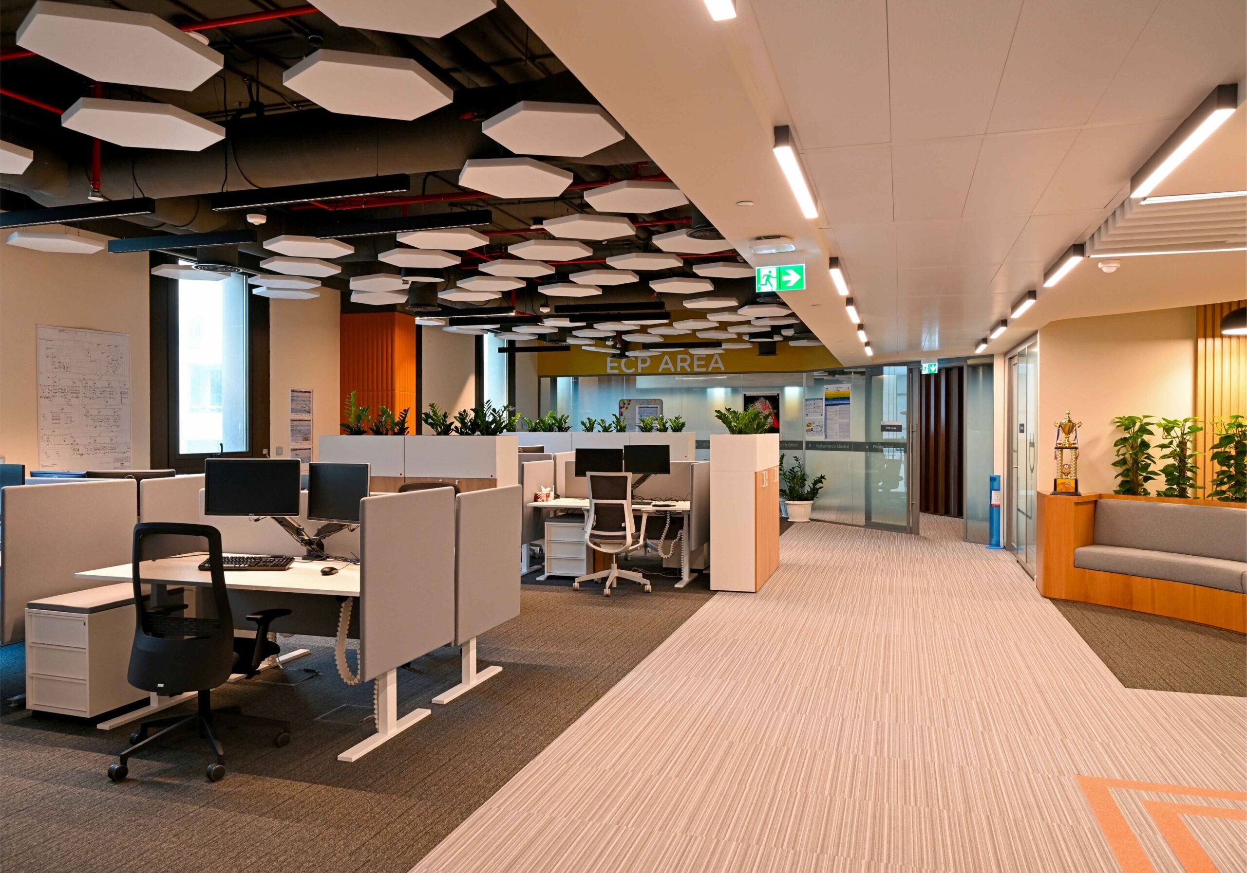 Flat esagono Office Qatar