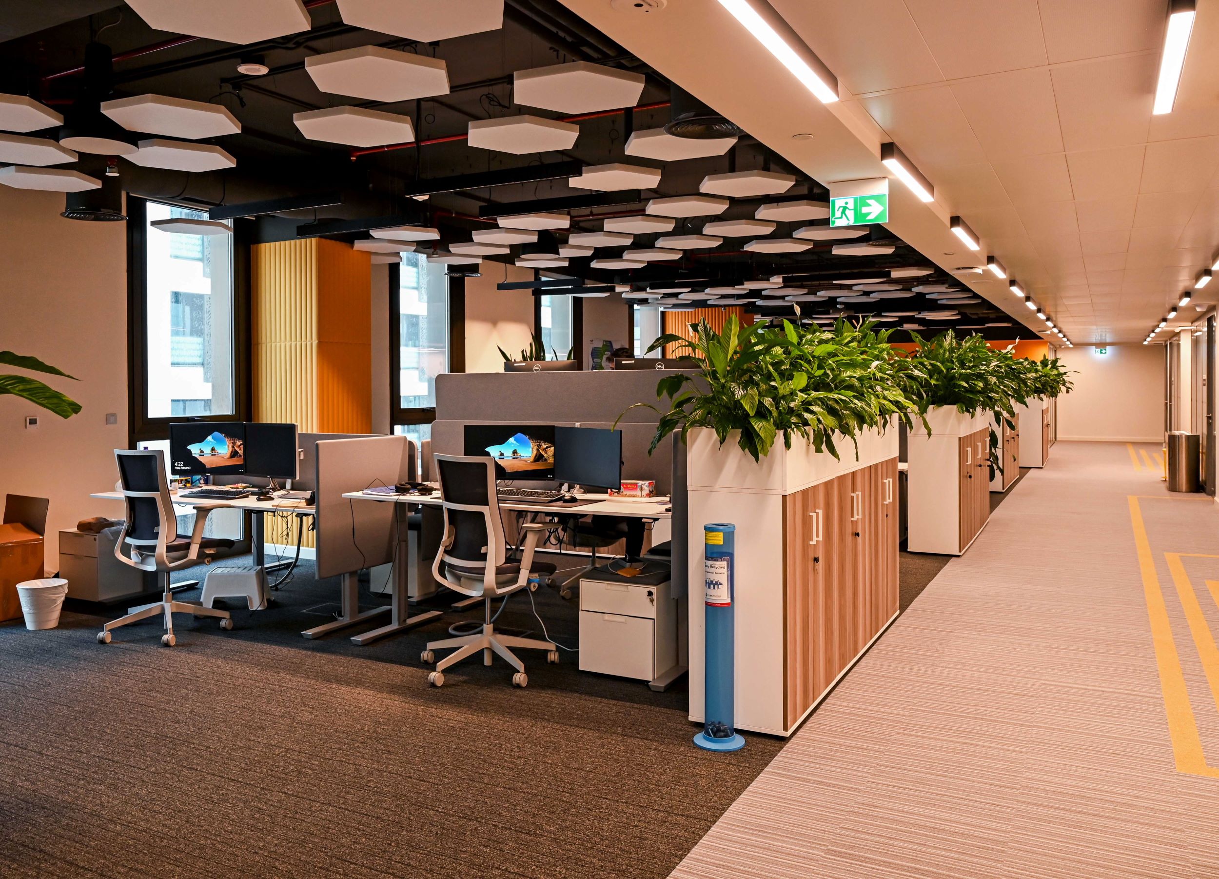Flat esagono Office Qatar