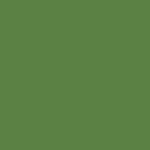 RAL 6017 RAL 6017