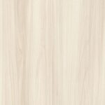 MM449BOG2E4 MM449BOG2E4