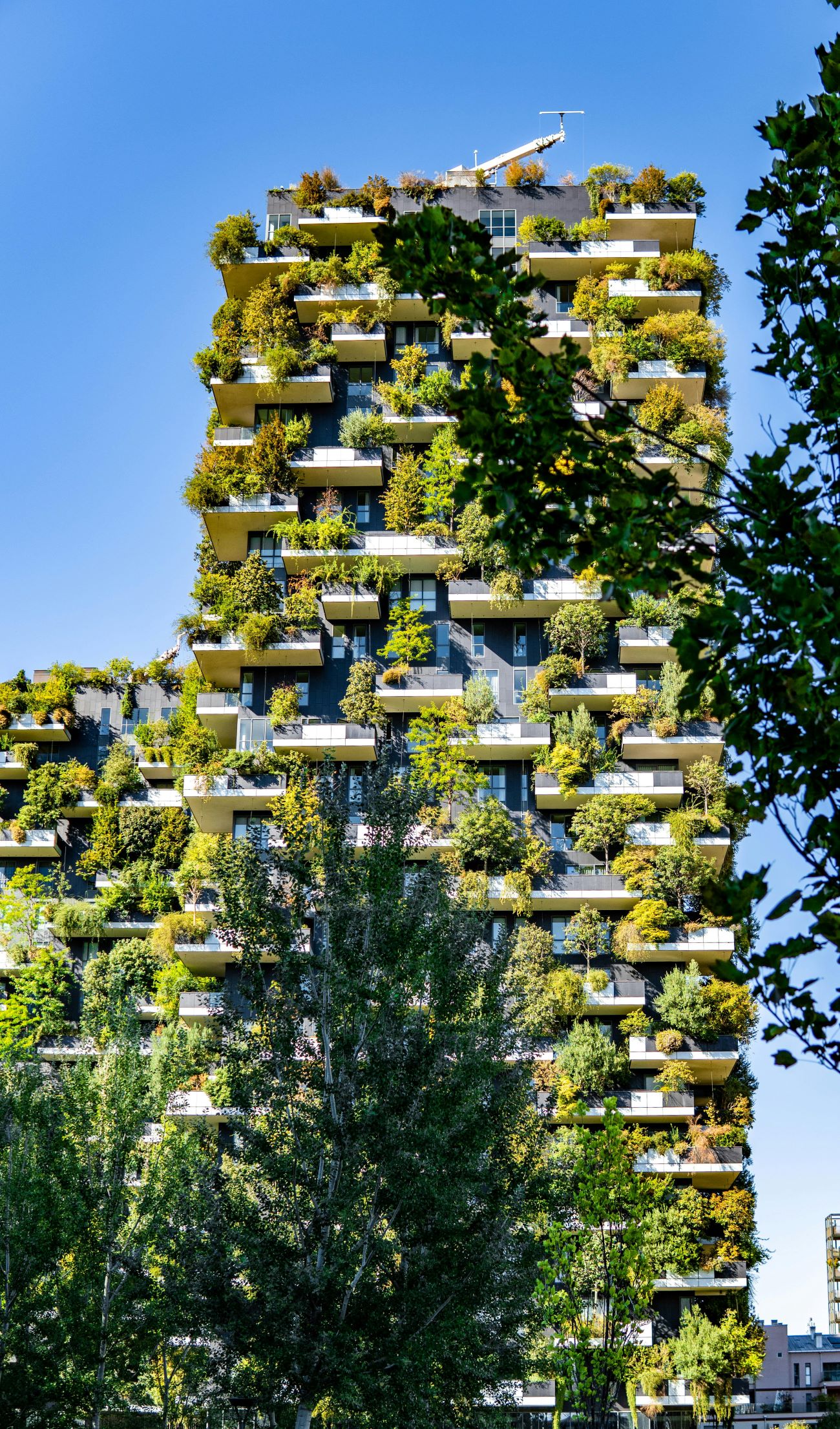 Bosco Verticale - Dump cr 400 pannello per isolamento constrosoffitto