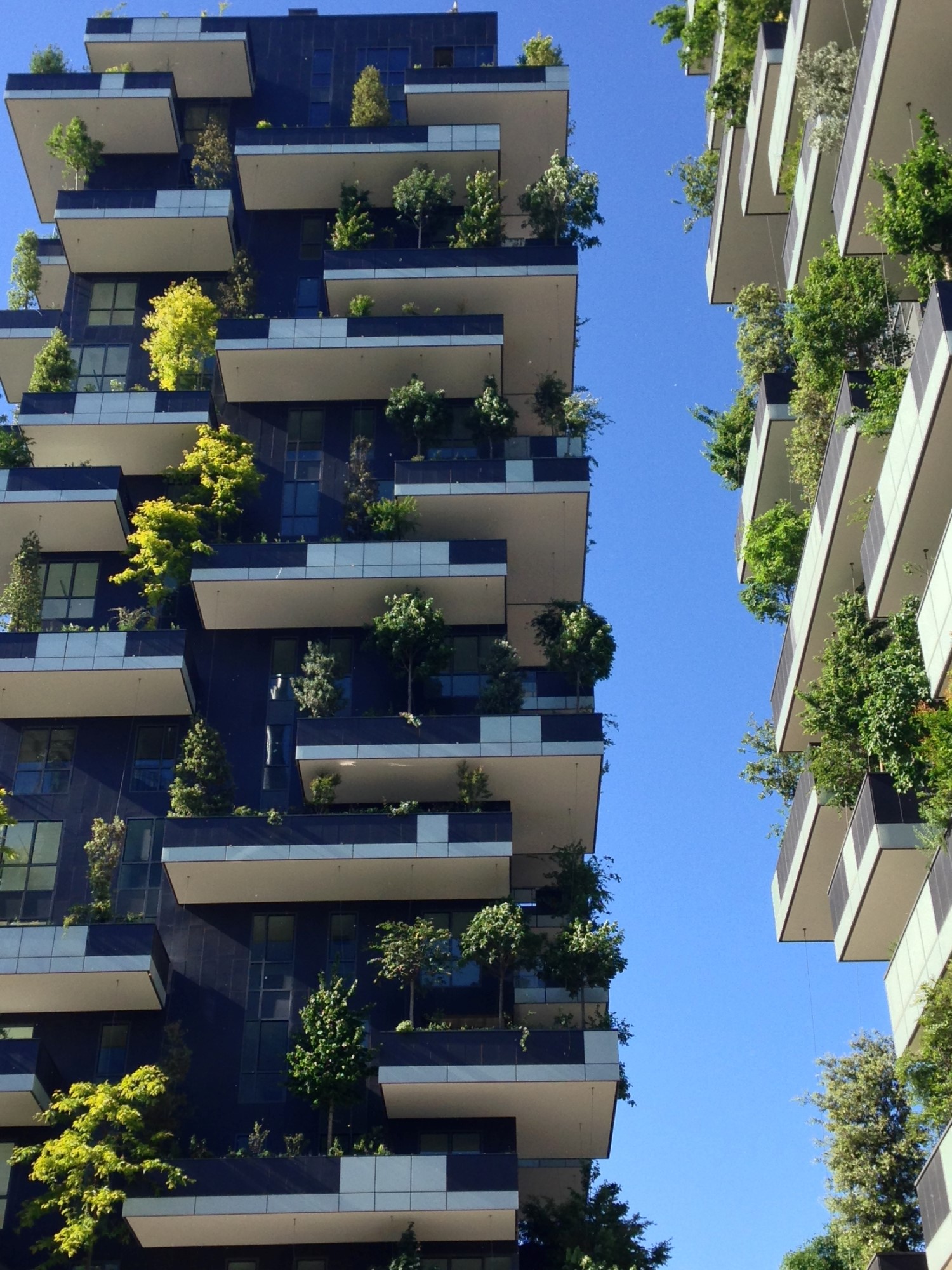 Bosco Verticale - Dump cr 400 pannello per isolamento constrosoffitto